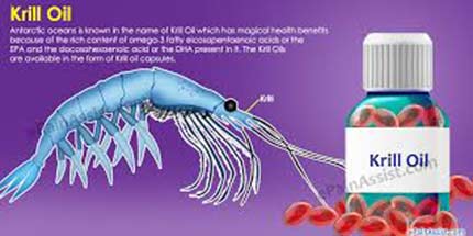 What are Some of the Krill Oil Benefits